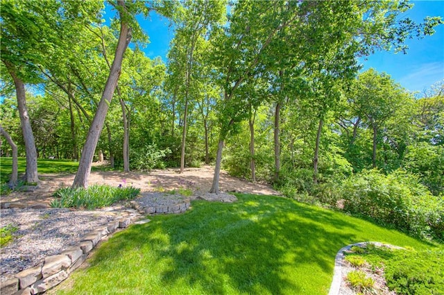 5445 NE Northgate Xing, Lees Summit, MO 64064 - view of green lawn