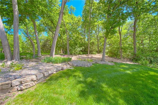 5445 NE Northgate Xing, Lees Summit, MO 64064 - view of green lawn
