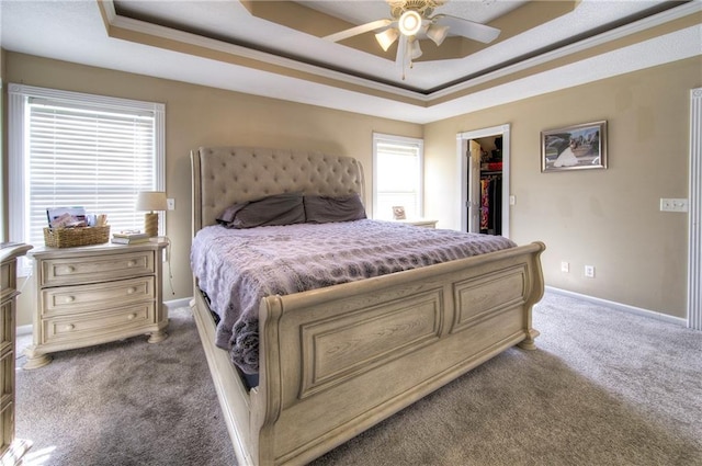 bedroom featuring carpet floors, a raised ceiling, and a spacious closet