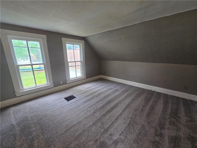 117 E Buford St, Wellington, MO 64097 - additional living space with carpet, lofted ceiling, a textured ceiling, and baseboards