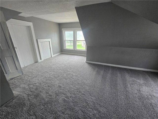 117 E Buford St, Wellington, MO 64097 - bonus room with carpet, baseboards, lofted ceiling, and a textured ceiling