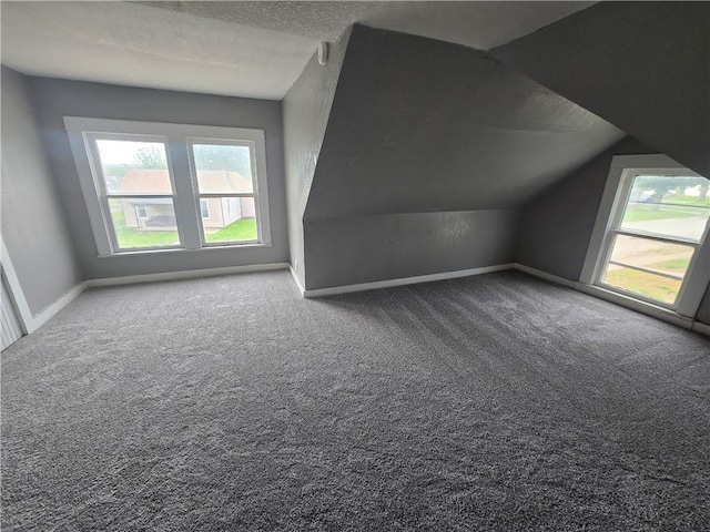 117 E Buford St, Wellington, MO 64097 - additional living space featuring carpet floors, healthy amount of natural light, lofted ceiling, and baseboards