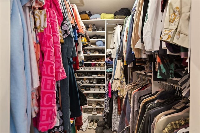 view of spacious closet
