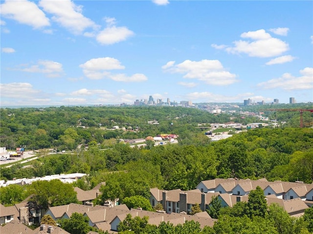 aerial view of a skyline view