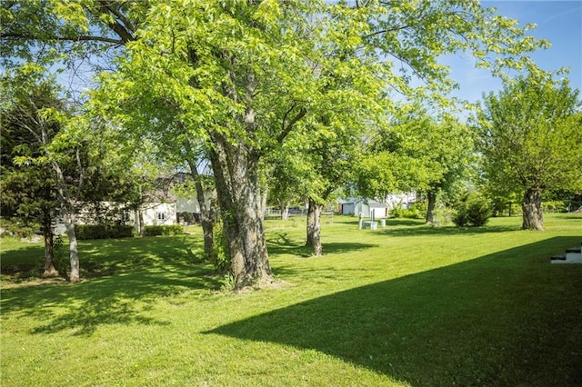 view of green lawn