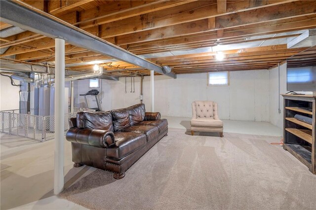 9711 Roe Ave, Overland Park, KS 66207 - view of below grade area