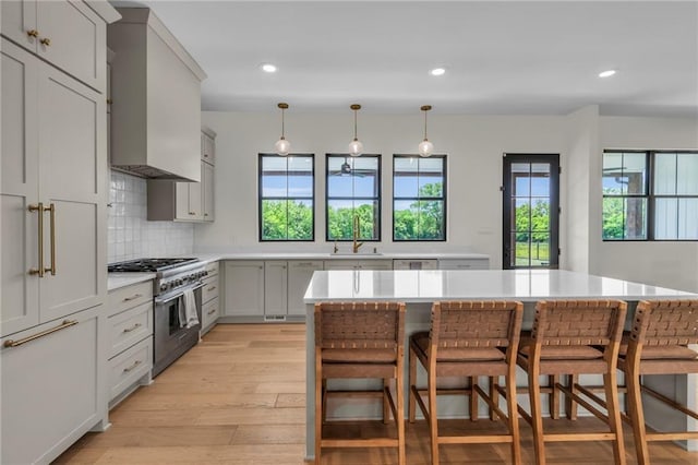 21851 179th St, Tonganoxie, KS 66086 - kitchen with appliances with stainless steel finishes, light wood finished floors, light countertops, healthy amount of natural light, and recessed lighting