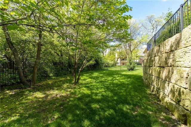 14160 Juniper St, Leawood, KS 66224 - view of yard