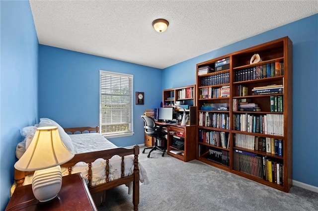 12434 England St, Overland Park, KS 66213 - office space with carpet floors and a textured ceiling