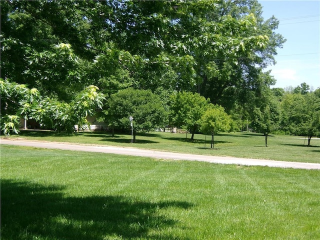 201 N Delray Dr, Urich, MO 64788 - photo 15