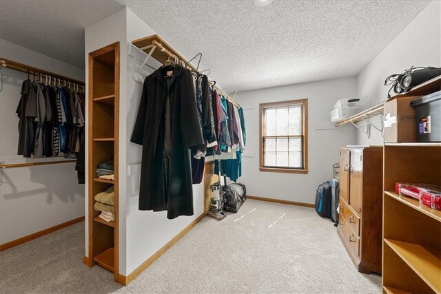 12224 Connell Dr, Overland Park, KS 66213 - spacious closet with carpet floors