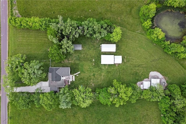 13223 Gammon Rd, Lees Summit, MO 64086 - view of property location