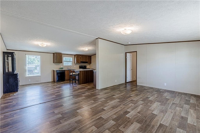 549 N Linn Valley Dr, Linn Valley, KS 66040 - unfurnished living room featuring a textured ceiling and dark wood finished floors