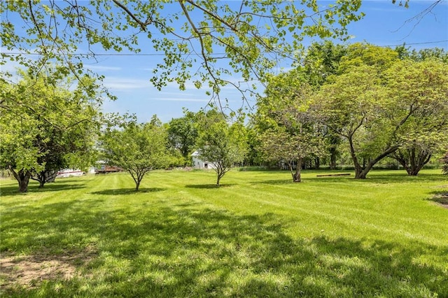 view of green lawn