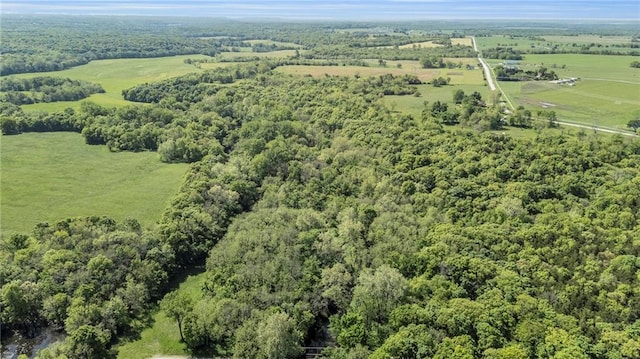 drone / aerial view of a forest