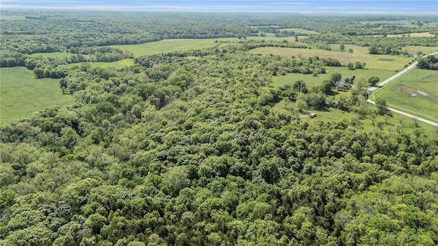 aerial view of a forest