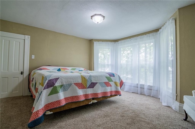 203 S Hughes St, Hamilton, MO 64644 - bedroom with carpet floors and a textured ceiling
