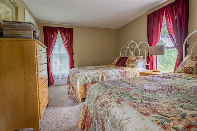 203 S Hughes St, Hamilton, MO 64644 - bedroom with multiple windows and carpet flooring
