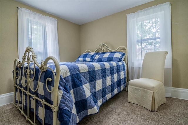 203 S Hughes St, Hamilton, MO 64644 - view of carpeted bedroom