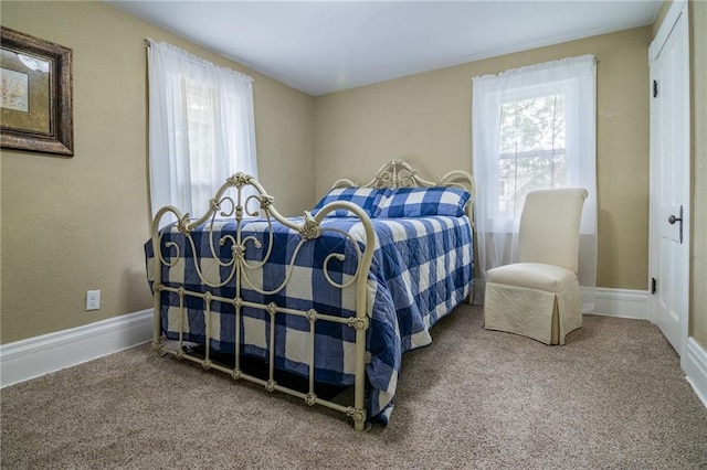 203 S Hughes St, Hamilton, MO 64644 - bedroom featuring carpet flooring
