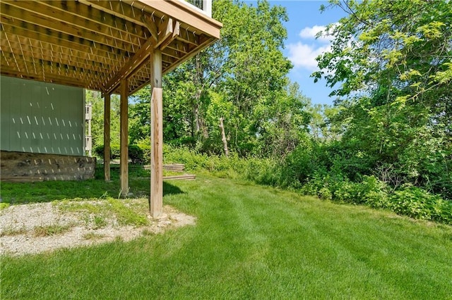 view of green lawn