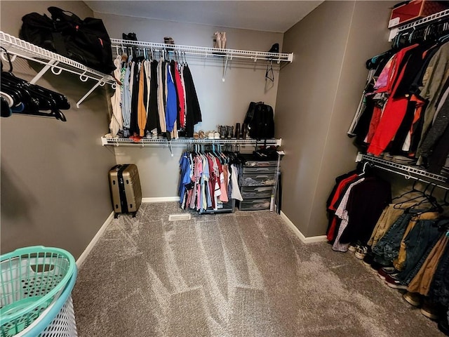 walk in closet featuring carpet flooring