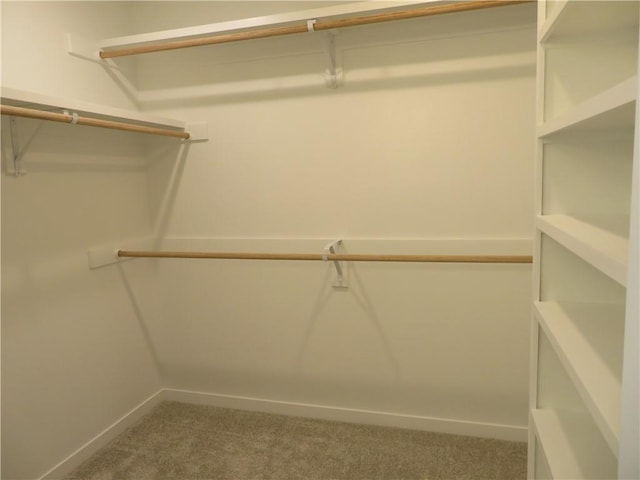902 2nd St, Perry, KS 66073 - walk in closet with carpet flooring