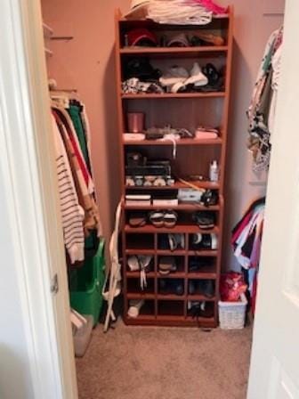 spacious closet featuring carpet flooring