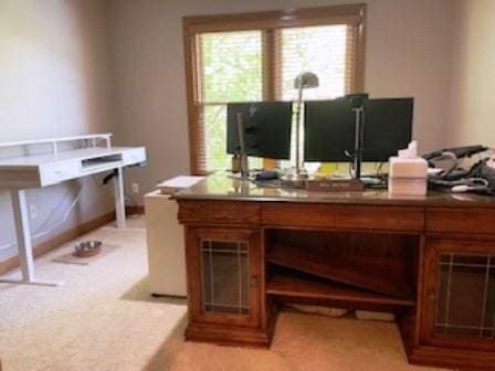 office space with light carpet