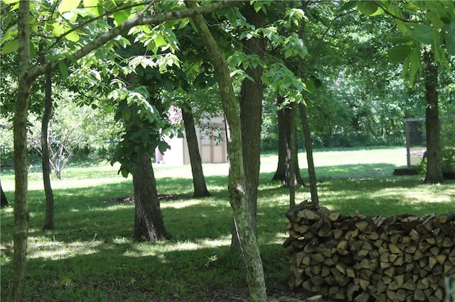 1658 NW 785th Rd, Bates City, MO 64011 - view of grassy yard