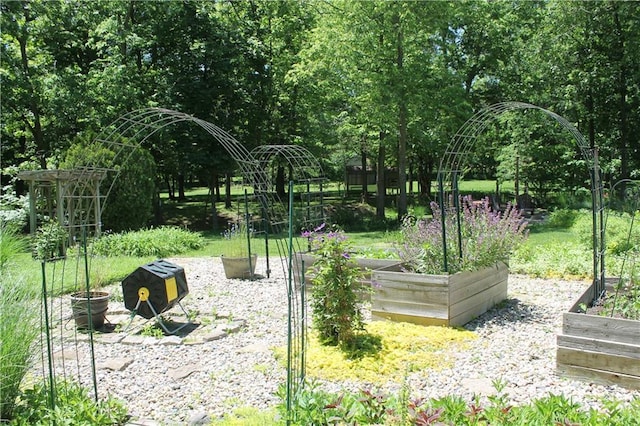 1658 NW 785th Rd, Bates City, MO 64011 - view of yard with a vegetable garden