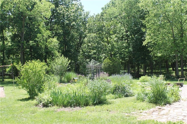 1658 NW 785th Rd, Bates City, MO 64011 - view of undeveloped land