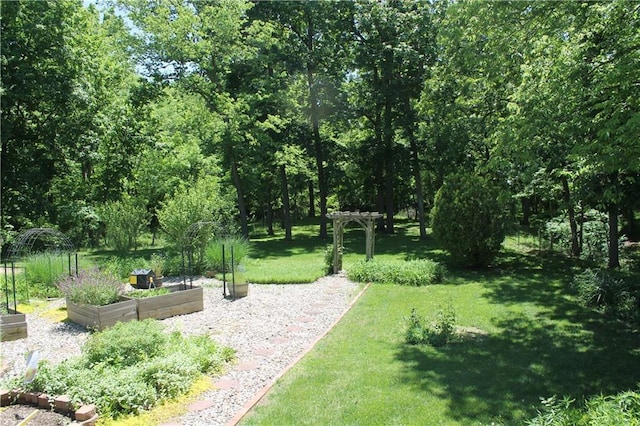 1658 NW 785th Rd, Bates City, MO 64011 - view of green lawn with a garden