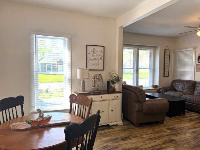 dining area with a ceiling fan and dark wood-type flooring