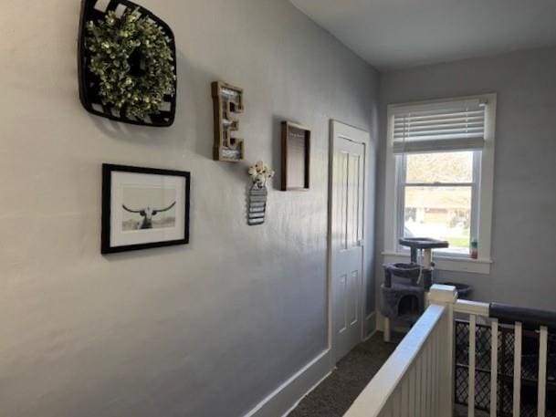 hallway with carpet
