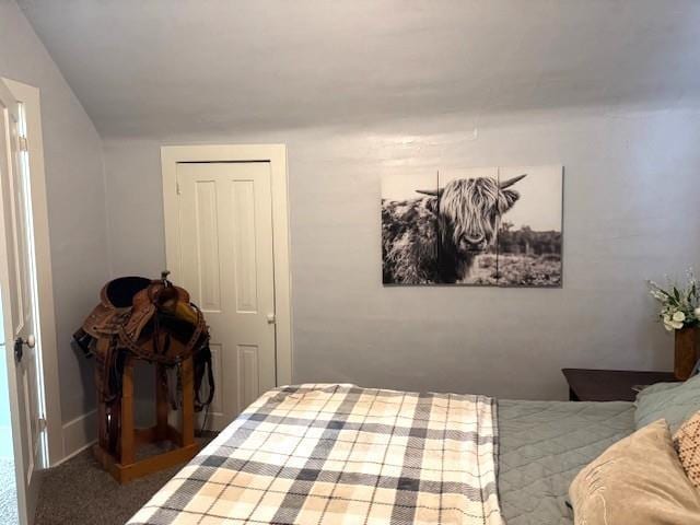 bedroom with carpet flooring
