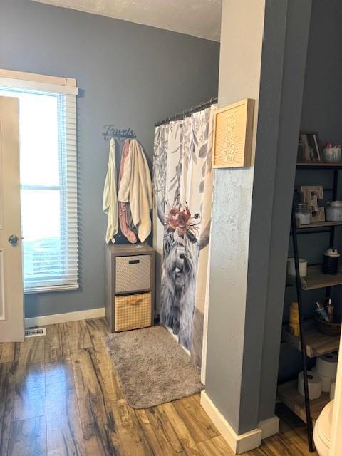 foyer entrance featuring wood finished floors and baseboards