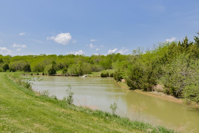 water view featuring a forest