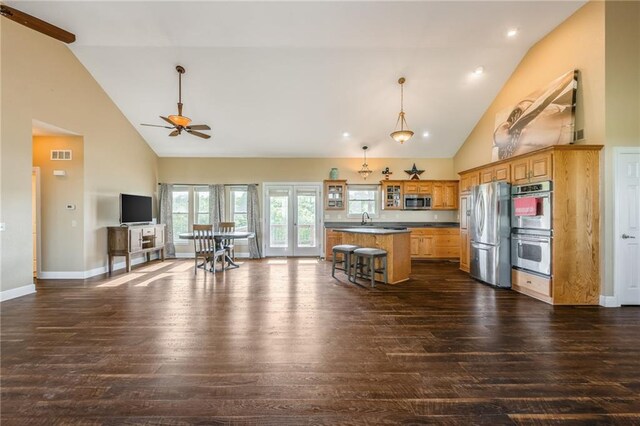 23780 Moberly Rd, Polo, MO 64671 - kitchen featuring appliances with stainless steel finishes, high vaulted ceiling, a ceiling fan, dark wood-style flooring, and dark countertops
