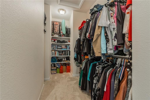 23780 Moberly Rd, Polo, MO 64671 - walk in closet with attic access and carpet floors