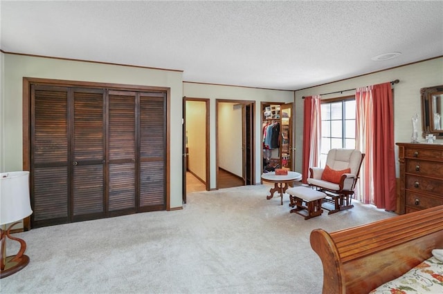 living area with carpet floors and a textured ceiling