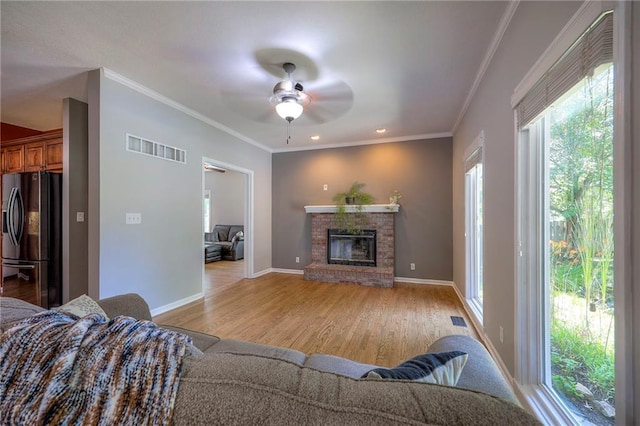 1906 Blackbird Cir, Kearney, MO 64060 - living room with a ceiling fan, plenty of natural light, light wood-type flooring, crown molding, and a fireplace