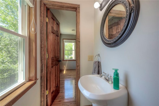 1906 Blackbird Cir, Kearney, MO 64060 - bathroom with a sink and wood finished floors