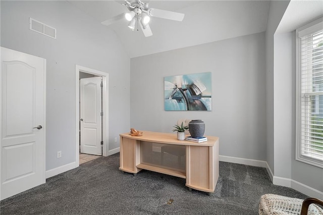 14393 S Cody St, Olathe, KS 66062 - office space featuring dark carpet, vaulted ceiling, plenty of natural light, and baseboards