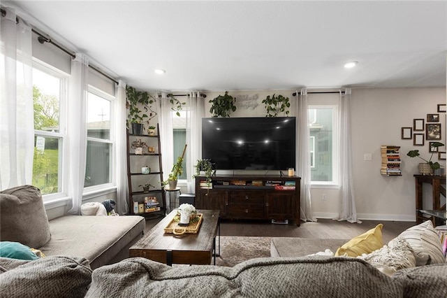 1405 Newport Ln, Raymore, MO 64083 - living room featuring wood finished floors, plenty of natural light, baseboards, and recessed lighting