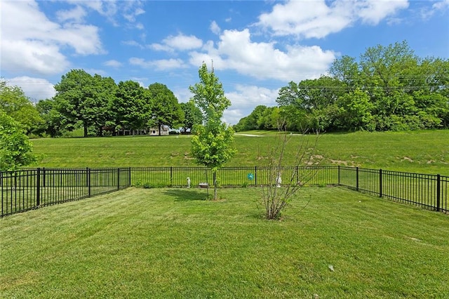 1405 Newport Ln, Raymore, MO 64083 - view of yard