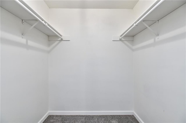 3512 Apple Tree Ln, Gladstone, MO 64119 - spacious closet with carpet floors