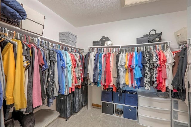 1407 SW Meyer Blvd, Blue Springs, MO 64015 - walk in closet featuring carpet