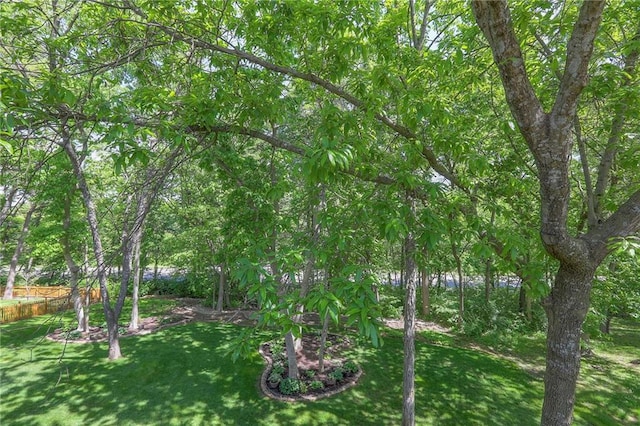 1407 SW Meyer Blvd, Blue Springs, MO 64015 - view of local wilderness