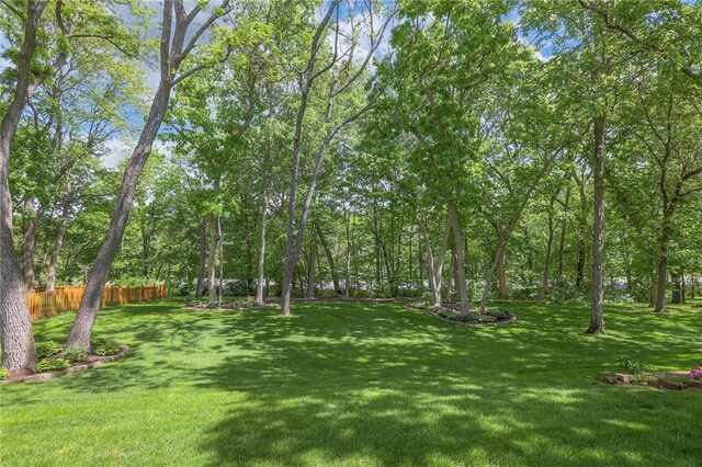 1407 SW Meyer Blvd, Blue Springs, MO 64015 - view of yard